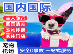 文山砚山机场物流国际宠物托运 【国